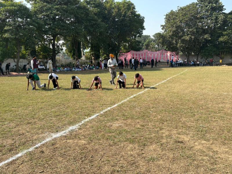 Cricket Achievement