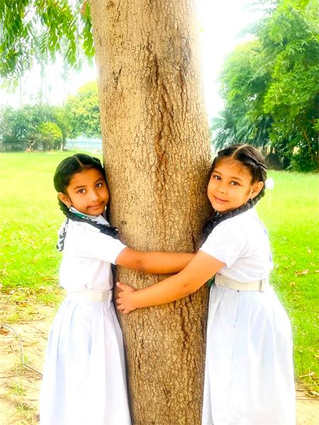 Van Mahotsav Tree Plantation – Apex International School Nakodar