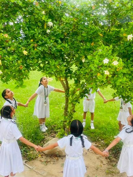 Van Mahotsav Tree Plantation – Apex International School Nakodar