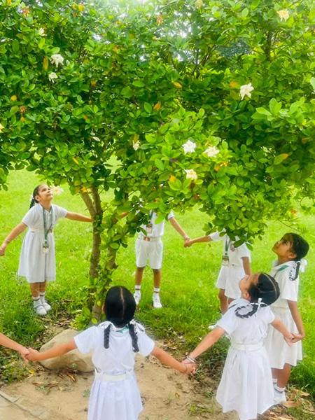 Van Mahotsav Tree Plantation – Apex International School Nakodar