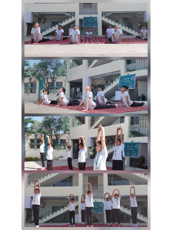 Social Responsibility Apex International School