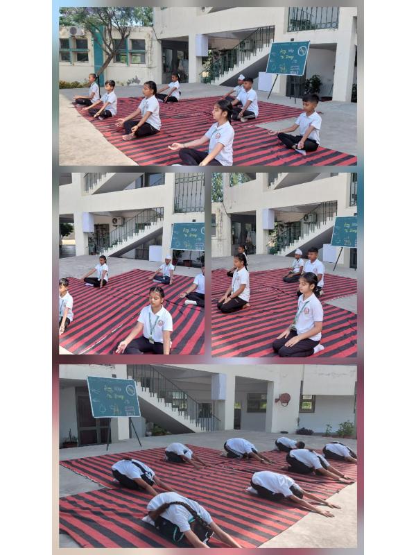Social Responsibility Apex International School